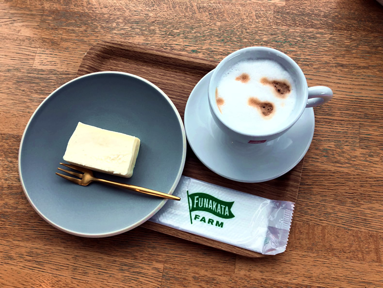 FUNAKATA FARM　CAFE 新山口駅店のチーズケーキ